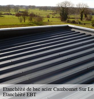 Etanchéité de bac acier  cambounet-sur-le-sor-81580 Etanchéité EBT