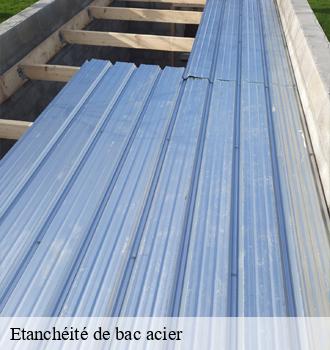 Etanchéité de bac acier  donnazac-81170 Etanchéité EBT