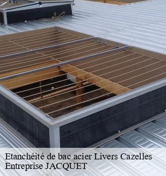 Etanchéité de bac acier livers-cazelles-81170 Entreprise JACQUET