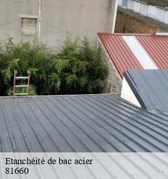 Etanchéité de bac acier pont-de-larn-81660 Entreprise JACQUET