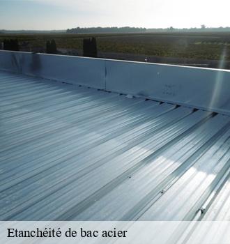 Etanchéité de bac acier  puybegon-81390 Etanchéité EBT