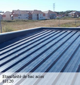 Etanchéité de bac acier  sieurac-81120 Etanchéité EBT