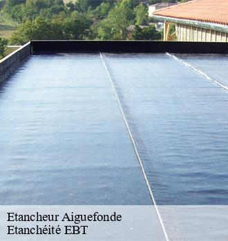 Etancheur  aiguefonde-81200 Etanchéité EBT