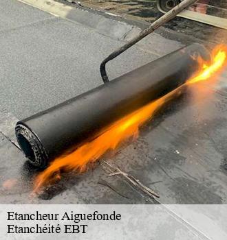 Etancheur  aiguefonde-81200 Etanchéité EBT