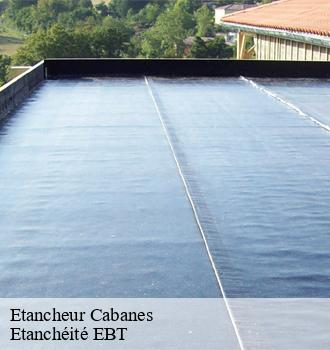 Etancheur  cabanes-81500 Etanchéité EBT
