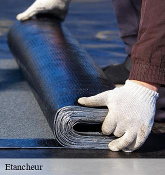 Etancheur  palleville-81700 Etanchéité EBT