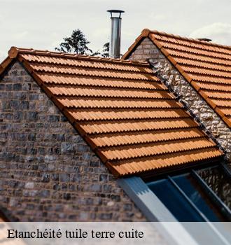 Etanchéité tuile terre cuite  algans-81470 Etanchéité EBT