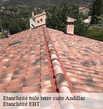 Etanchéité tuile terre cuite  andillac-81140 Etanchéité EBT