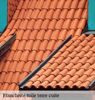 Etanchéité tuile terre cuite bannieres-81500 Entreprise JACQUET
