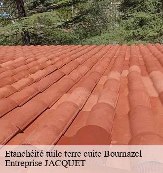 Etanchéité tuile terre cuite bournazel-81170 Entreprise JACQUET