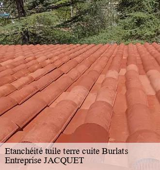 Etanchéité tuile terre cuite burlats-81100 Entreprise JACQUET