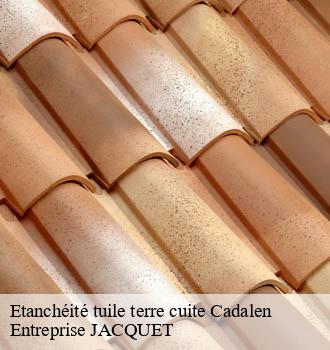 Etanchéité tuile terre cuite cadalen-81600 Entreprise JACQUET