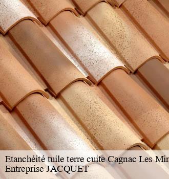 Etanchéité tuile terre cuite cagnac-les-mines-81130 Entreprise JACQUET