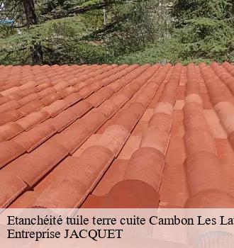 Etanchéité tuile terre cuite  cambon-les-lavaur-81470 Entreprise JACQUET