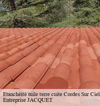 Etanchéité tuile terre cuite cordes-sur-ciel-81170 Entreprise JACQUET