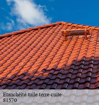 Etanchéité tuile terre cuite frejeville-81570 Entreprise JACQUET