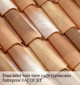 Etanchéité tuile terre cuite giroussens-81500 Entreprise JACQUET