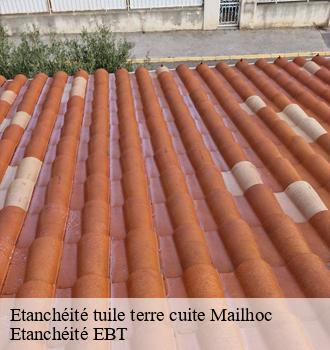 Etanchéité tuile terre cuite  mailhoc-81130 Etanchéité EBT
