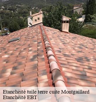 Etanchéité tuile terre cuite  montgaillard-81800 Etanchéité EBT