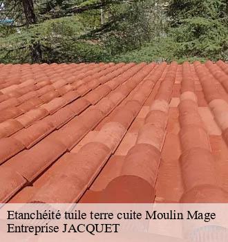 Etanchéité tuile terre cuite moulin-mage-81320 Entreprise JACQUET