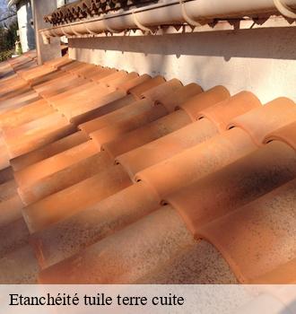 Etanchéité tuile terre cuite  rayssac-81330 Etanchéité EBT
