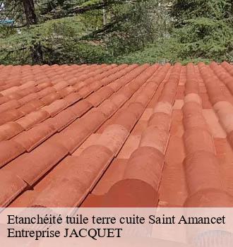 Etanchéité tuile terre cuite saint-amancet-81110 Entreprise JACQUET