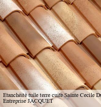 Etanchéité tuile terre cuite  sainte-cecile-du-cayrou-81140 Entreprise JACQUET