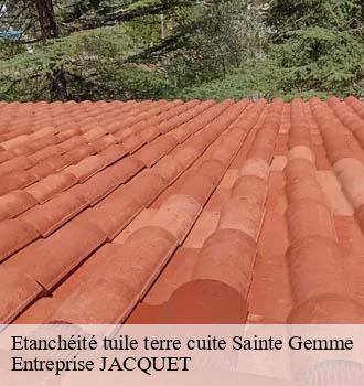 Etanchéité tuile terre cuite sainte-gemme-81190 Entreprise JACQUET