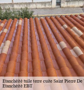 Etanchéité tuile terre cuite  saint-pierre-de-trivisy-81330 Etanchéité EBT