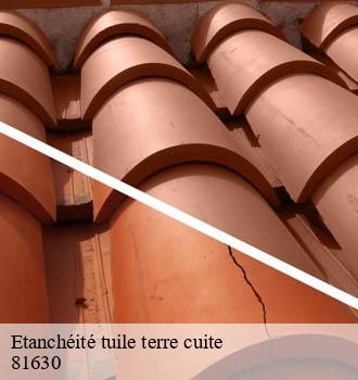 Etanchéité tuile terre cuite  saint-urcisse-81630 Entreprise JACQUET