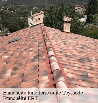 Etanchéité tuile terre cuite  teyssode-81220 Etanchéité EBT