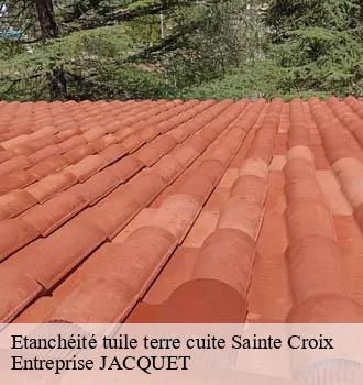 Etanchéité tuile terre cuite sainte-croix-81150 Entreprise JACQUET