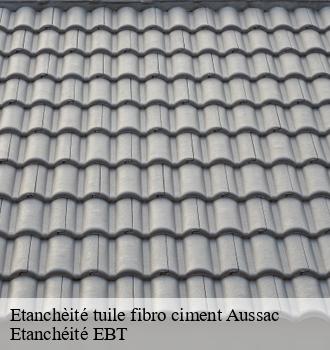 Etanchèité tuile fibro ciment  aussac-81600 Etanchéité EBT