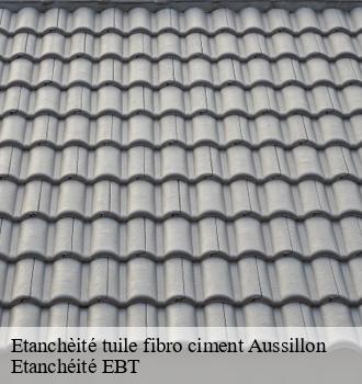 Etanchèité tuile fibro ciment  aussillon-81200 Etanchéité EBT