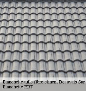 Etanchèité tuile fibro ciment  beauvais-sur-tescou-81630 Etanchéité EBT