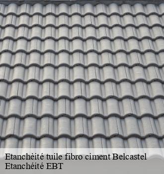 Etanchèité tuile fibro ciment  belcastel-81500 Etanchéité EBT