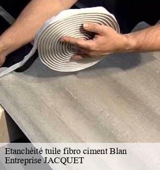 Etanchèité tuile fibro ciment blan-81700 Entreprise JACQUET
