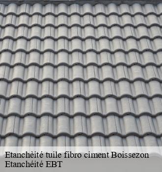 Etanchèité tuile fibro ciment  boissezon-81490 Etanchéité EBT