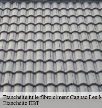 Etanchèité tuile fibro ciment  cagnac-les-mines-81130 Etanchéité EBT