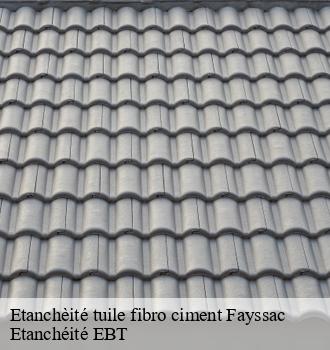 Etanchèité tuile fibro ciment  fayssac-81150 Etanchéité EBT