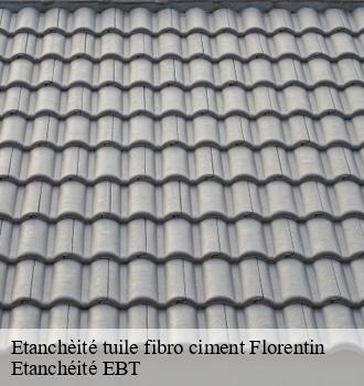 Etanchèité tuile fibro ciment  florentin-81150 Etanchéité EBT