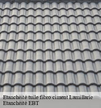 Etanchèité tuile fibro ciment  lamillarie-81120 Etanchéité EBT