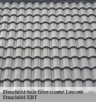 Etanchèité tuile fibro ciment  lescout-81110 Etanchéité EBT