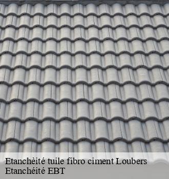 Etanchèité tuile fibro ciment  loubers-81170 Etanchéité EBT