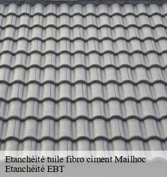 Etanchèité tuile fibro ciment  mailhoc-81130 Etanchéité EBT