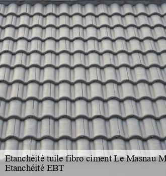 Etanchèité tuile fibro ciment  le-masnau-massuguies-81530 Etanchéité EBT