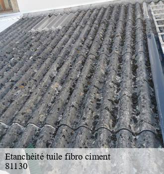 Etanchèité tuile fibro ciment milhavet-81130 Entreprise JACQUET