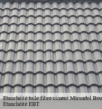 Etanchèité tuile fibro ciment  mirandol-bourgnounac-81190 Etanchéité EBT