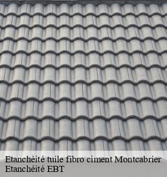 Etanchèité tuile fibro ciment  montcabrier-81500 Etanchéité EBT