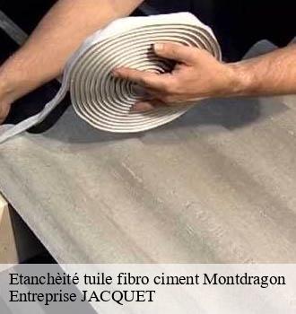 Etanchèité tuile fibro ciment montdragon-81440 Entreprise JACQUET